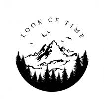 time, look, look of time