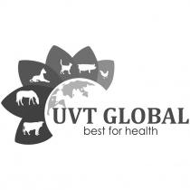 best, best for health, for, global, health, uvt, uvt global