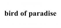 paradise, bird, bird of paradise