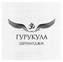 шрінатджи, гурукула, гурукула шрінатджи
