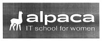 women, school, it, it school for women, alpaca