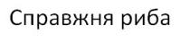 риба, справжня, справжня риба
