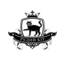 кіт, рудий, рудий кіт