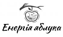 яблука, енергія, енергія яблука, к, с, а, mg, k, zn, fe, c, a