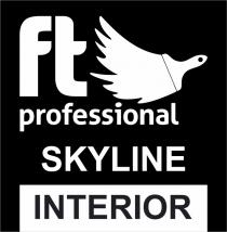interior, skyline, professional, ft, ft professional skyline interior