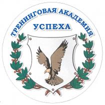 тренинговая академия успеха, тренинговая, академия, успеха