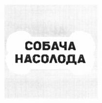 насолода, собача, собача насолода