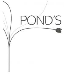 pond`s, pond, ponds