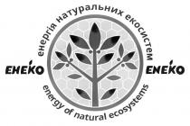 ecosystems, natural, energy, energy of natural ecosystems, eheko, eneko, екосистем, натуральних, енергія, енергія натуральних екосистем, енеко