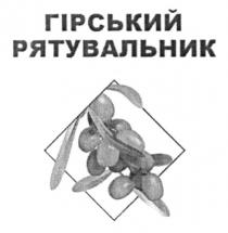 рятувальник, гірський, гірський рятувальник