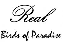 paradise, birds, real, real birds of paradise