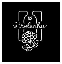 ns hrebinka, hrebinka, ns