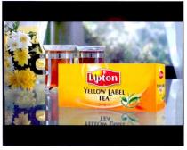 lipton, yellow label tea, yellow, label, tea
