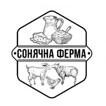 ферма, сонячна, сонячна ферма