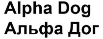 alpha, alpha dog, dog, альфа, альфа дог, дог