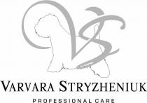 vs, care, professional, professional care, stryzheniuk, varvara, varvara stryzheniuk