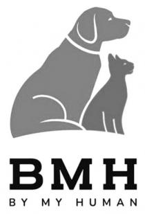 вмн, human, bmh, bmh by human