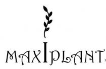 мах, plant, max, maxiplant