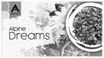 а, a, dreams, alpine, alpine dreams, askold