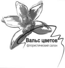 вальс цветов флористический салон, вальс, цветов, флористический, салон