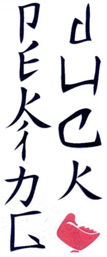 peking duck, peking, duck