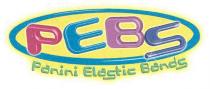 pebs panini elastic bands, pebs, panini, elastic, bands, peb5, peb, 5
