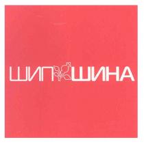 шип шина, шипшина