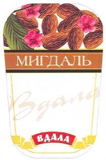 мигдаль, вдала
