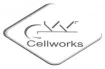 cw, cvv, cellworks, gw, gvv
