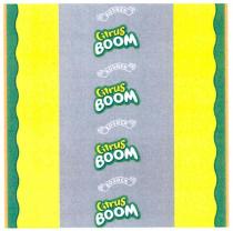 воом, citrus boom, citrus, boom, roshen