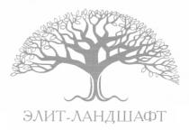 элит-ландшафт, элит, ландшафт