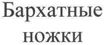 бархатные ножки, бархатные, ножки
