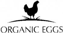 organic eggs, organic, eggs