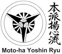 moto-ha yoshin ryu, moto, ha, motoha, yoshin, ryu