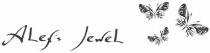 alef`s jewel, alef`s, jewel, alef, alef`s, alefs