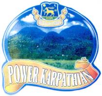 visk, тм, power karpathian, power, karpathian, 1620, 16, 20, вишково