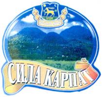 visk, тм, вишково, сила карпат, сила, карпат, 1620, 16, 20