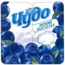 чудо легкий йогуртер, чудо, легкий, йогуртер