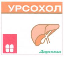 урсохол, дарница