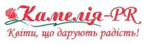 pr, камелія-pr, камелія, квіти, що дарують радість!, квіти, дарують, радість