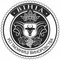 вініа, усі таємниці виноробства, усі, таємниці, виноробства, ін віно верітас, віно, верітас, bihia