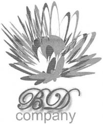 вд, bd, company