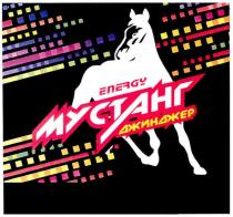 мустанг джинджер, мустанг, джинджер, energy