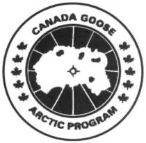 canada goose, canada, goose, arctic program, arctic, program