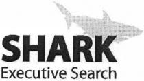shark, executive search, executive, search