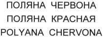 поляна червона, поляна, червона, поляна красная, красная, polyana chervona, polyana, chervona