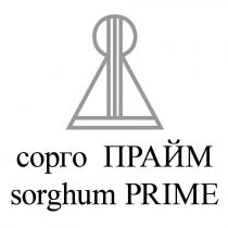 яя, rr, sorghum prime, sorghum, prime, сорго прайм, сорго, прайм