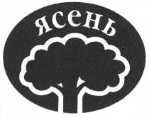 ясень