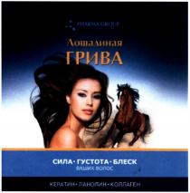 лошадиная грива, лошадиная, грива, сила густота блеск ваших волос, сила, густота, блеск, ваших, волос, кератин ланолин коллаген, кератин, ланолин, коллаген, pharma group, pharma, group