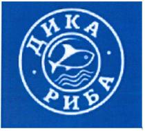 дика риба, дика, риба